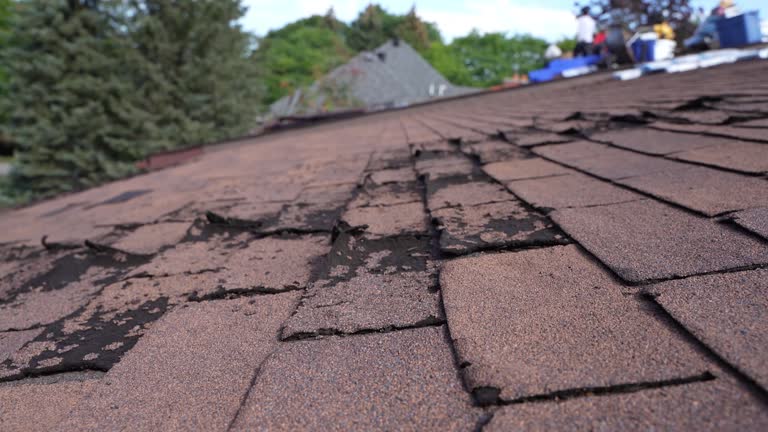 Best Asphalt Shingle Roofing  in Mcgovern, PA