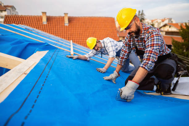 Best Roof Maintenance and Cleaning  in Mcgovern, PA